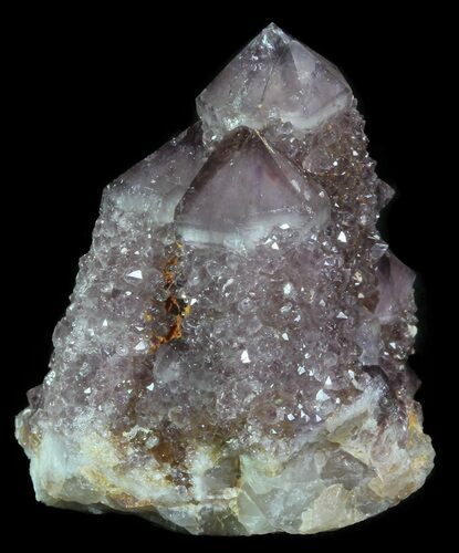 Cactus Quartz (Amethyst) Crystal Cluster - South Africa #64220